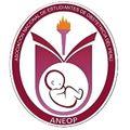 Logo ANEOP