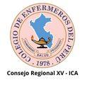 Logo Colegio Enfermeros XV ICA
